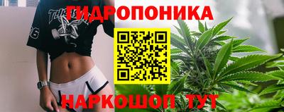 дживик Обь