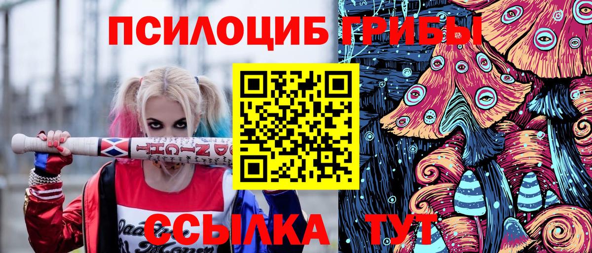 Северобайкальск  Псилоцибиновые грибы Psilocybe  Вход с VPN  Псилоцибиновые грибы Psilocybine cubensis 